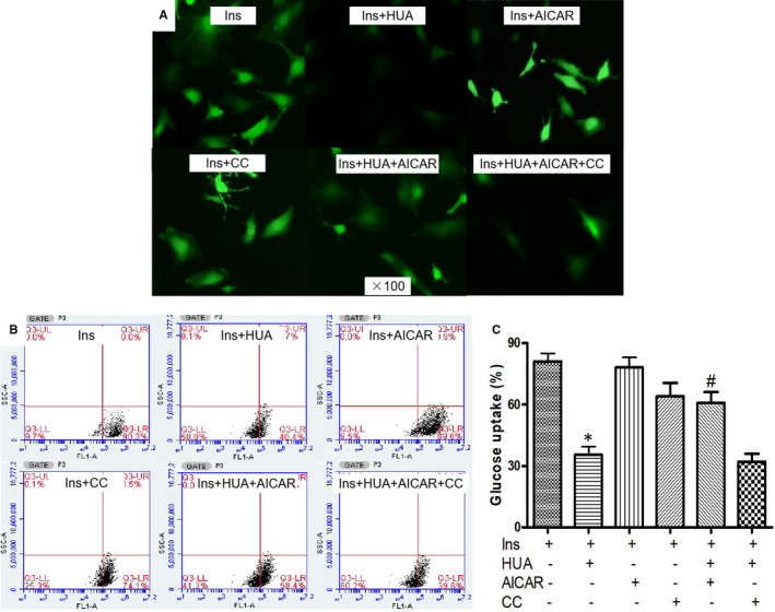 FIGURE 3