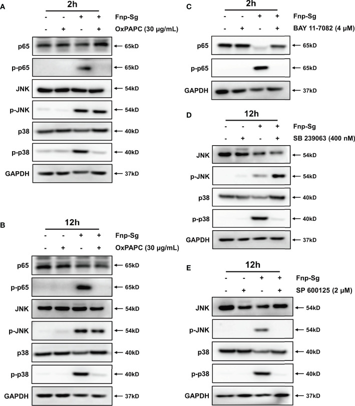 Figure 10