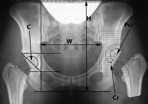 Fig. 1