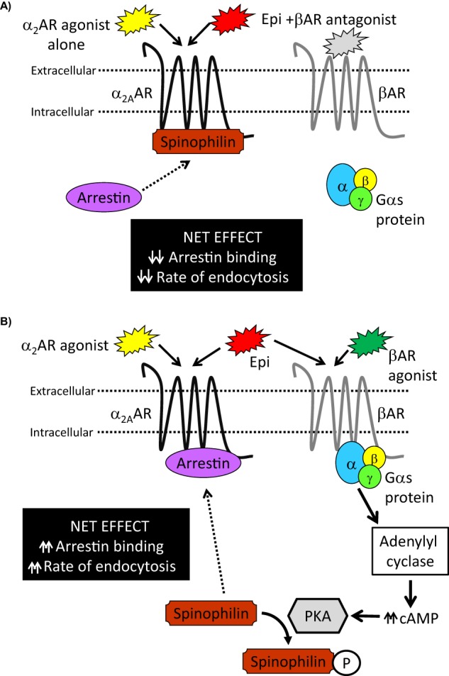 FIGURE 10.