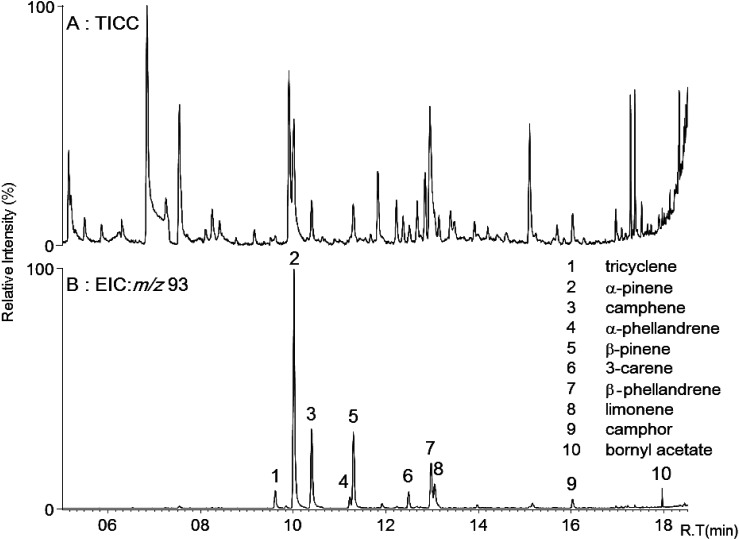 Fig. 1. GC mass chromatogram of monoterpenes in the atmosphere of Tsubetsu forest.