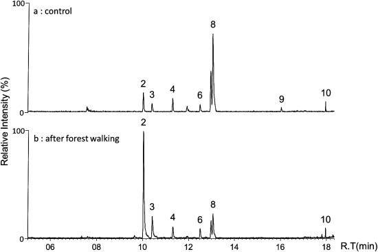 Fig. 3. GC/MS extracted ion chromatogram of monoterpenes in blood from subject in the morning (a) and after Tsubetsu forest walking (b).