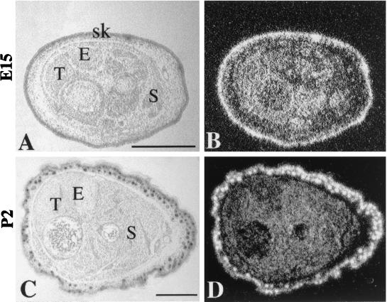 FIG. 8