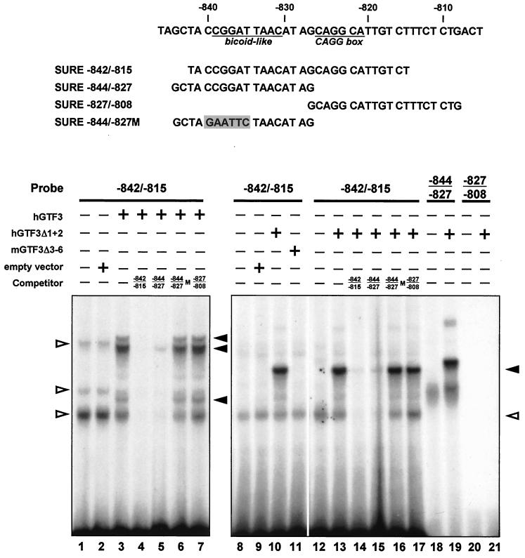 FIG. 6