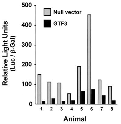 FIG. 10