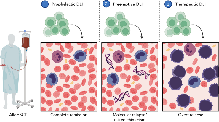 Figure 1.