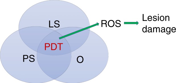 Fig. 1