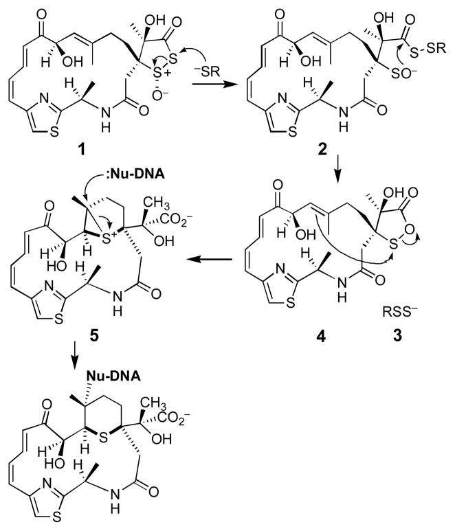 Scheme 1