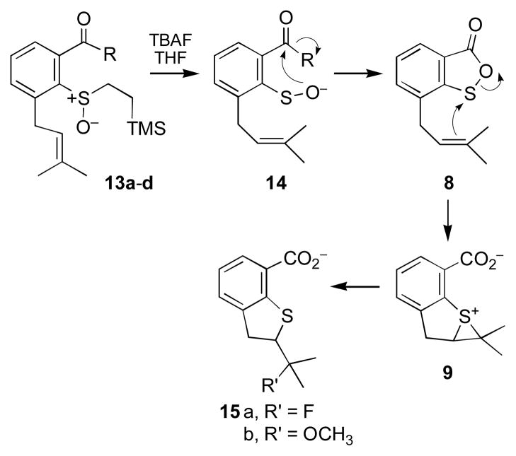 Scheme 4