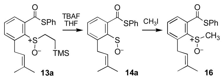 Scheme 5