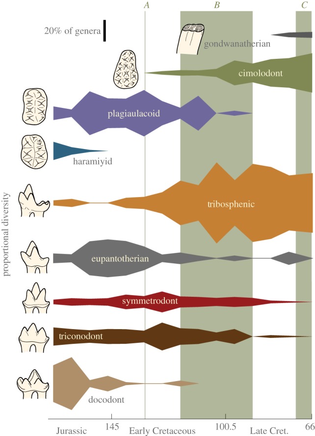 Figure 1.