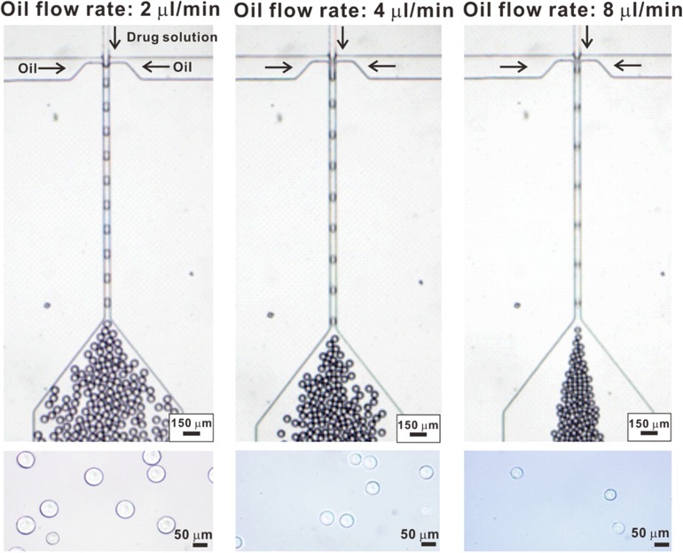 FIG. 2.