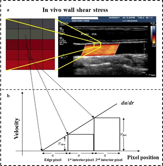 Fig. 1