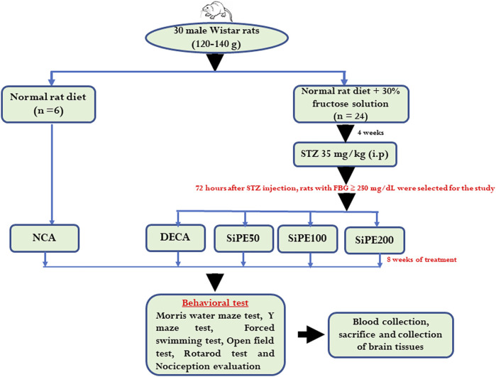 FIGURE 1