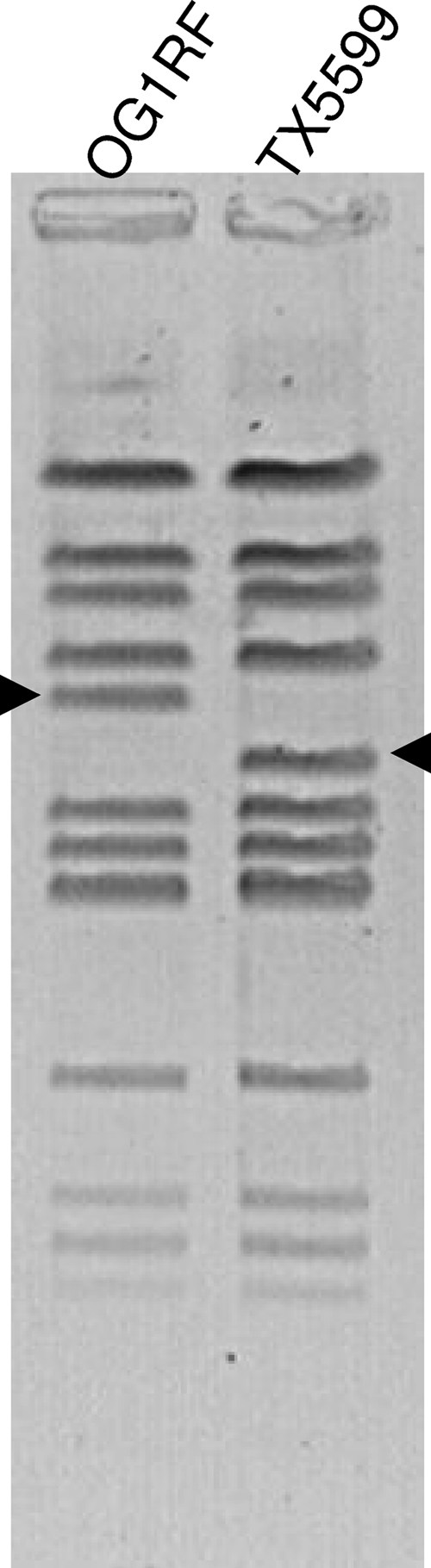 FIG. 5.