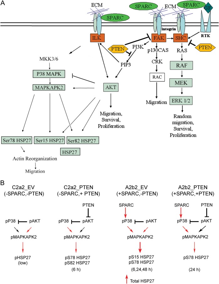 Fig. 6.