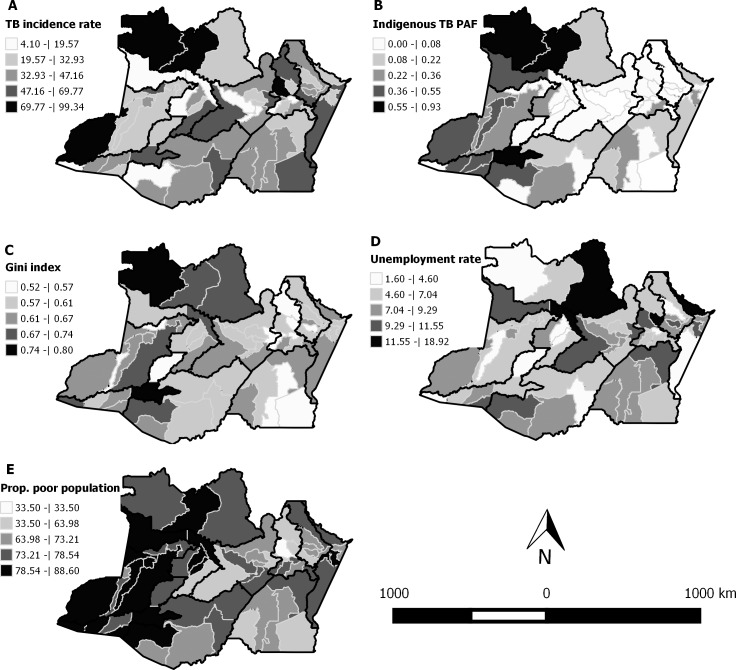 Fig 2