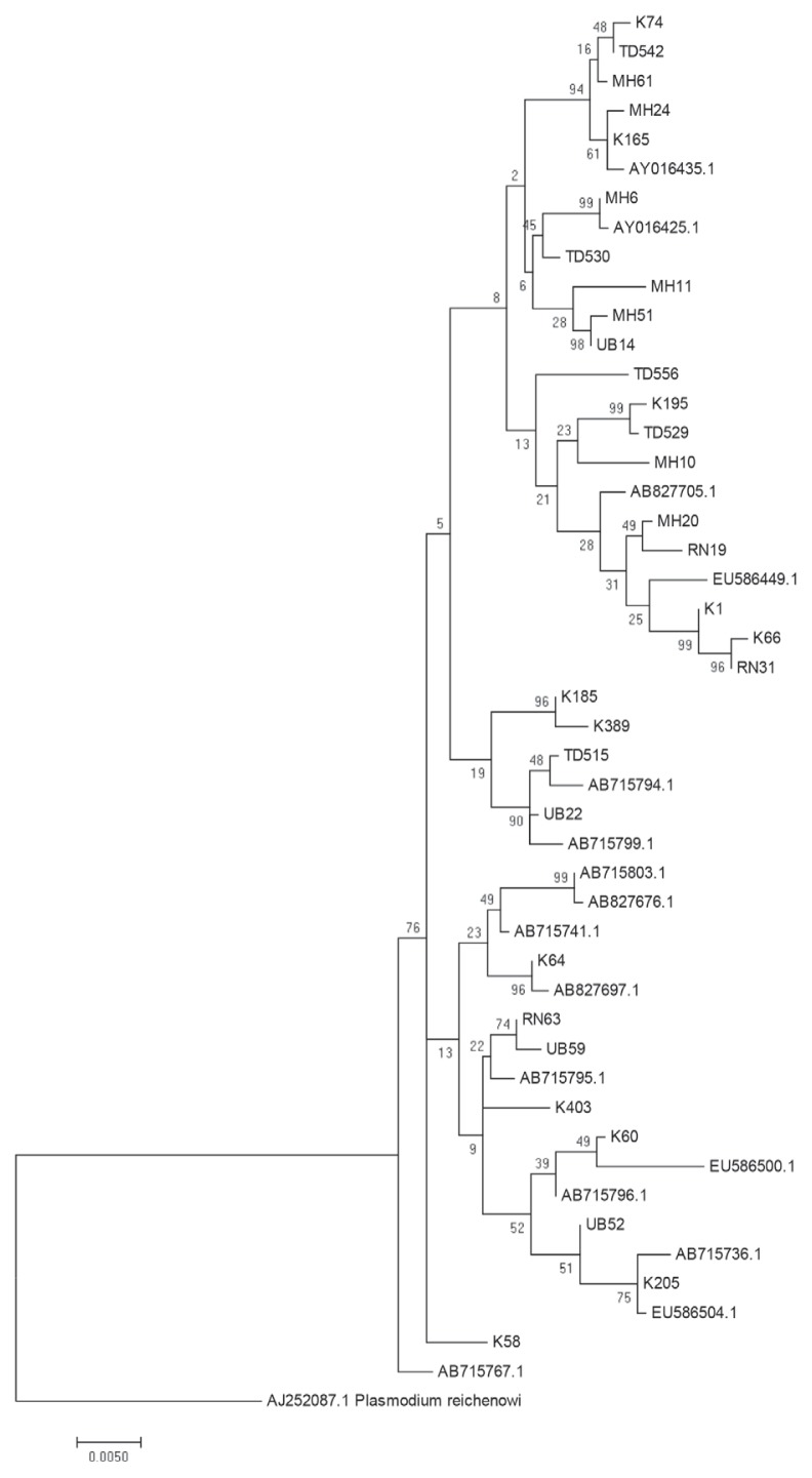 Fig. 5