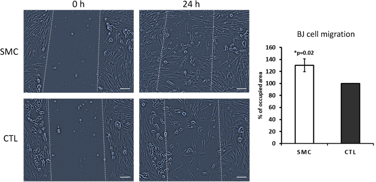 Fig. 3