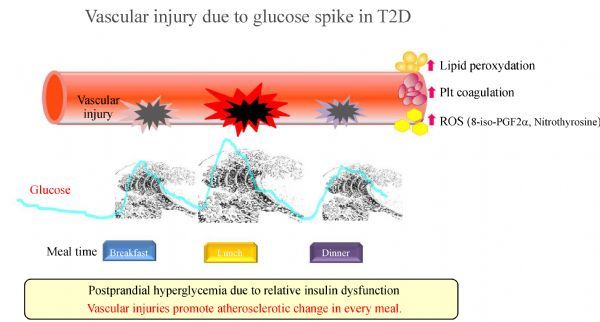 Fig.2