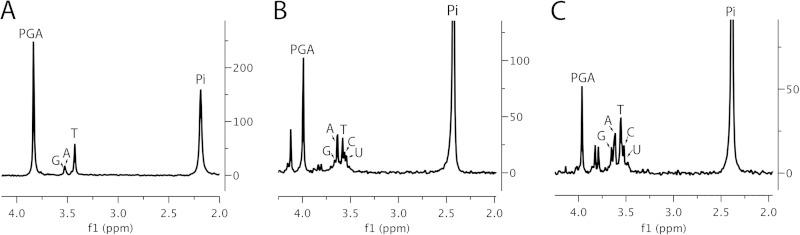 FIG 6