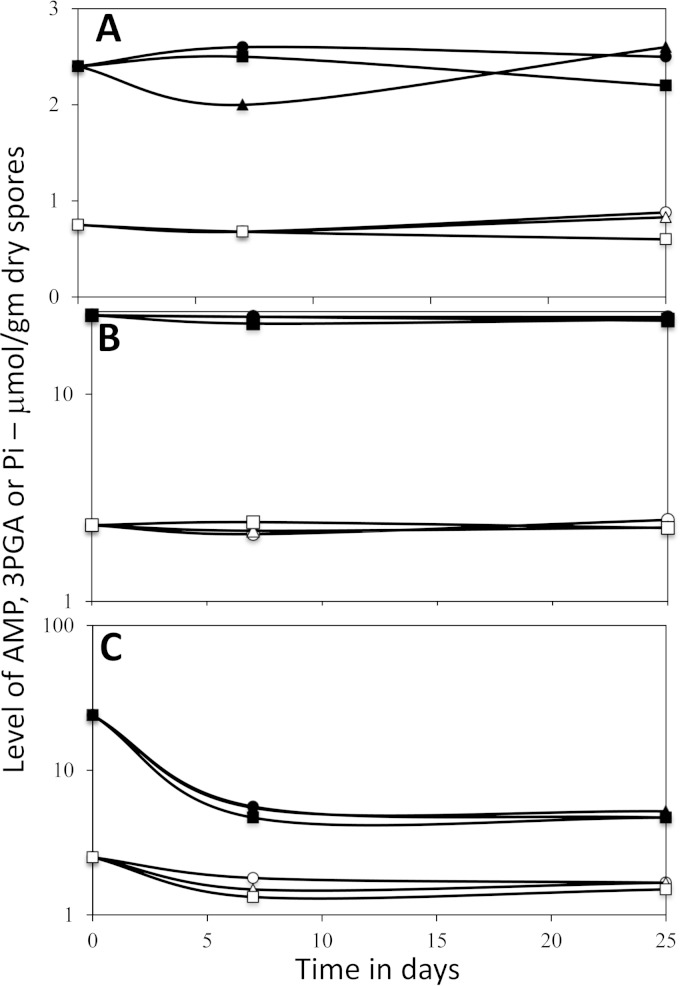 FIG 2