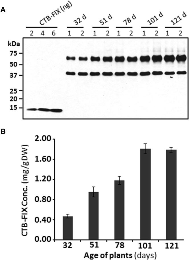 Figure 2