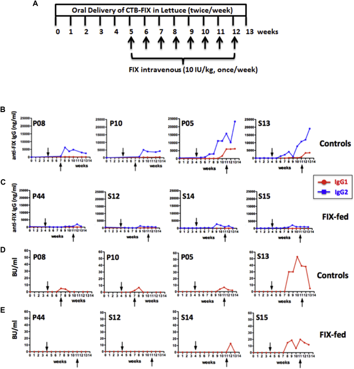 Figure 3