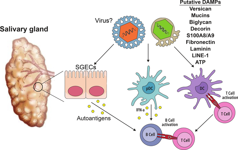 Figure 2: