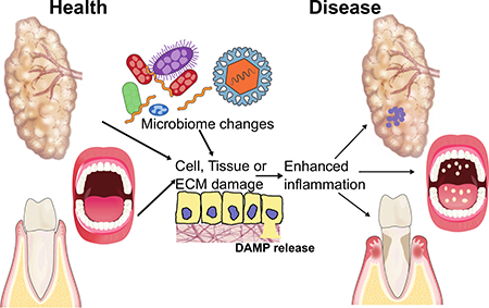 graphic file with name nihms-1011647-f0001.jpg