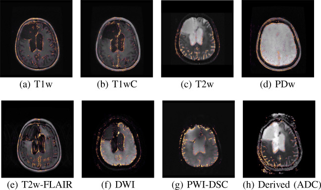 Fig. 7