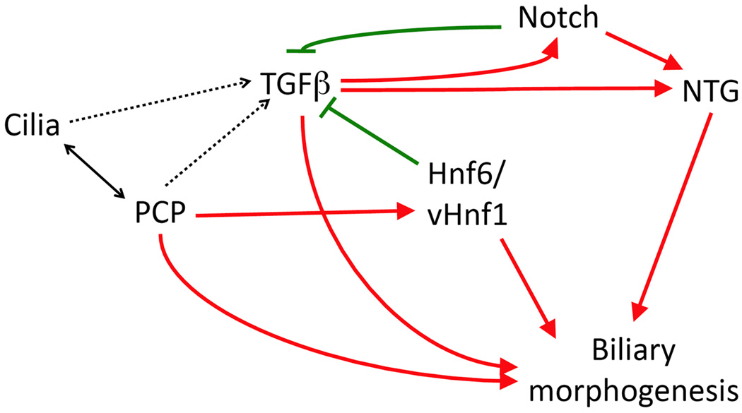 Figure 8