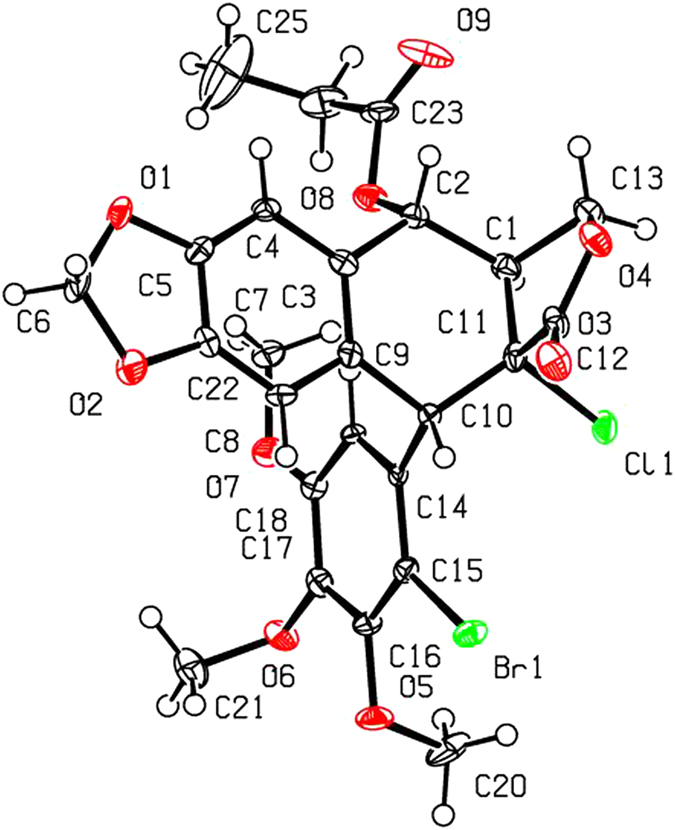 Figure 6