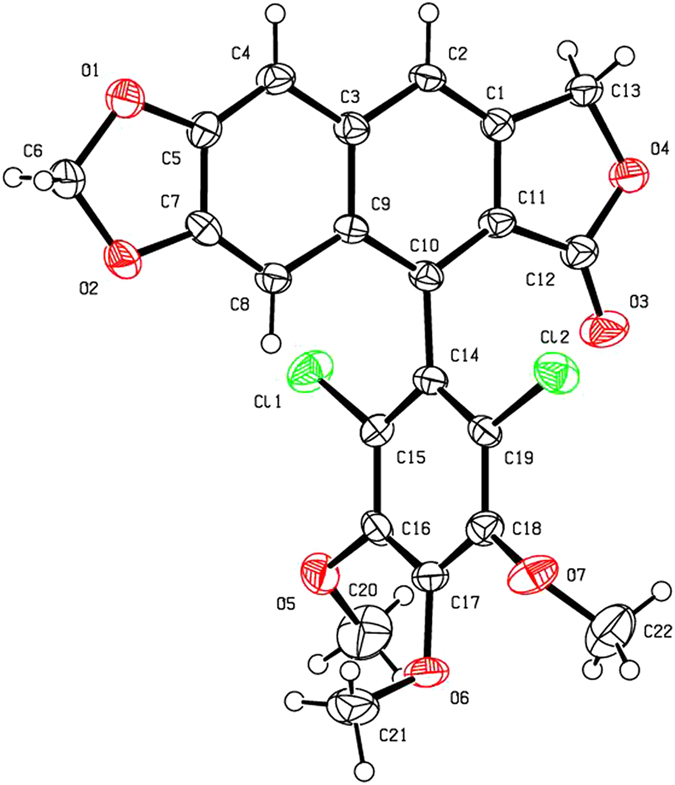 Figure 8