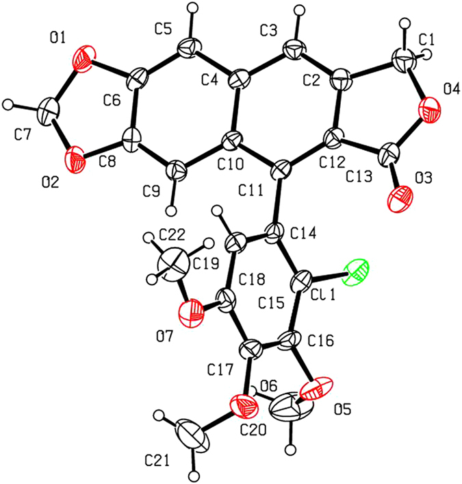 Figure 7