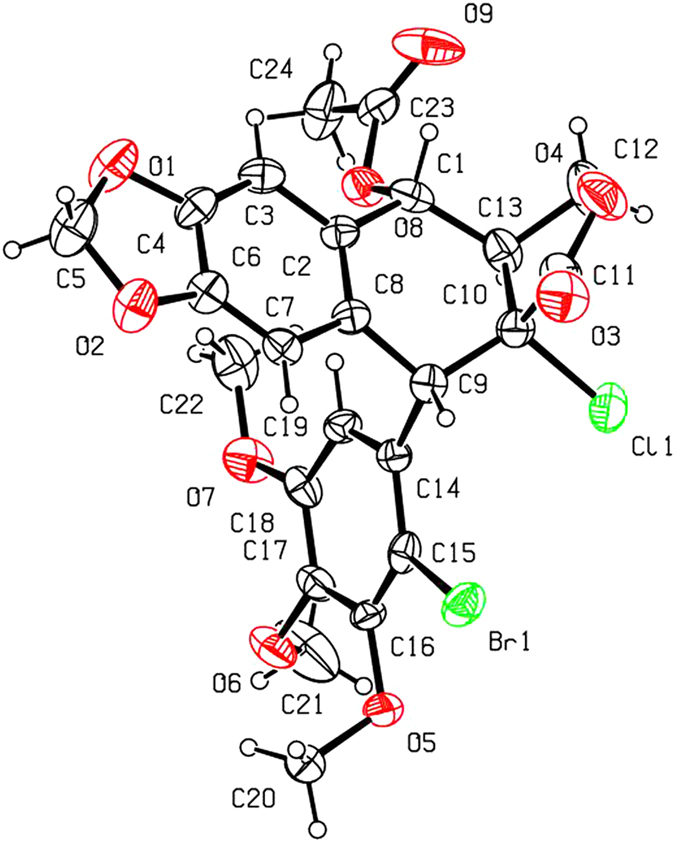 Figure 5