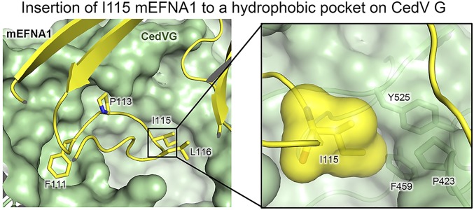 Fig. 8.