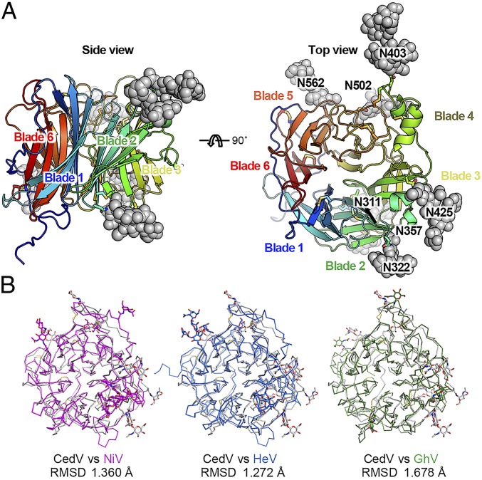 Fig. 4.