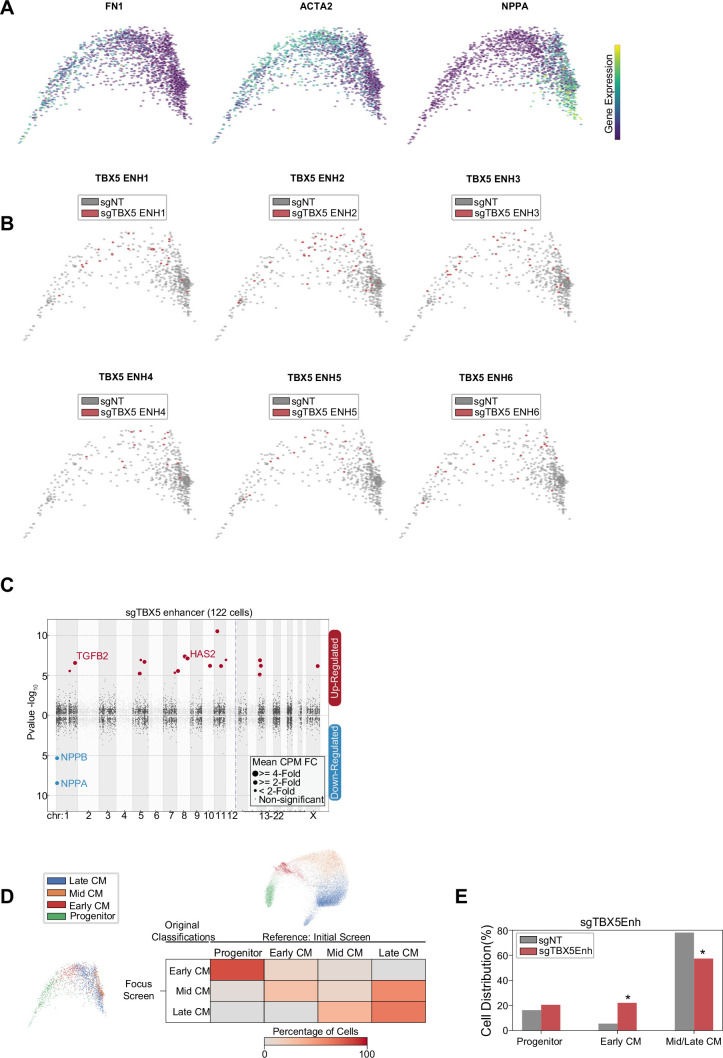 Figure 4—figure supplement 1.