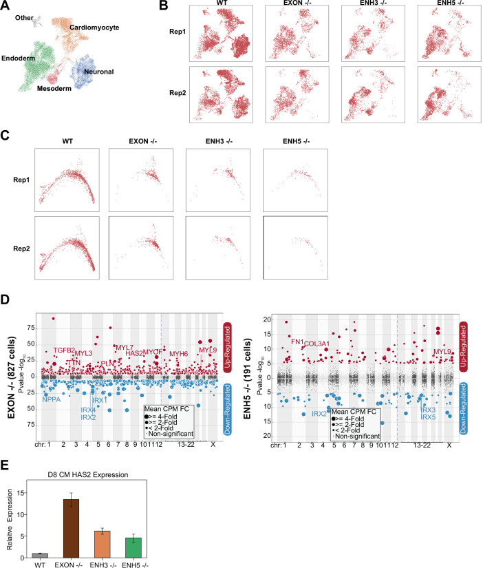 Figure 5—figure supplement 1.