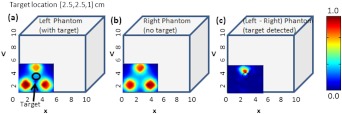 Fig. 8