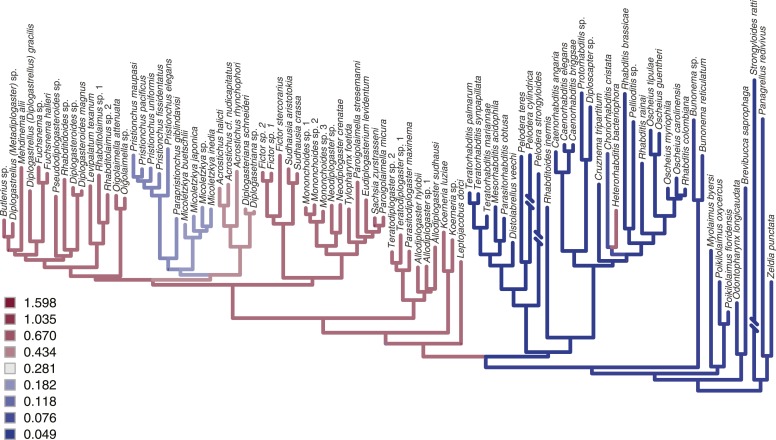 Figure 3—figure supplement 2.