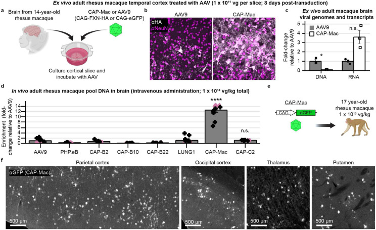 Fig. 6: