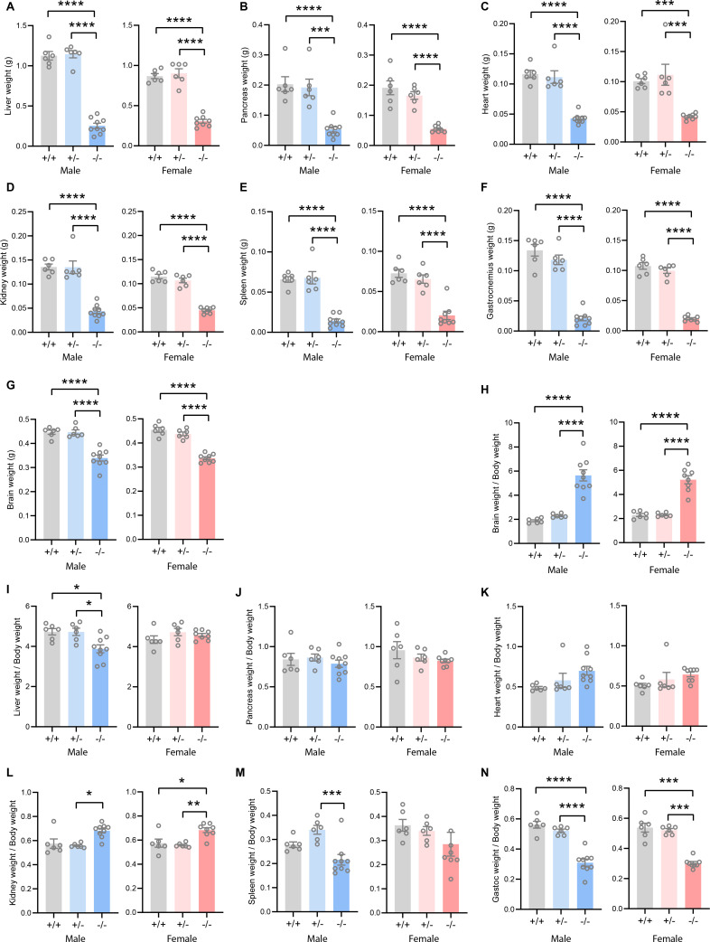 Figure 2—figure supplement 1.