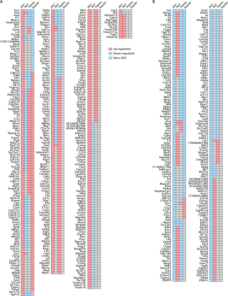 Figure 6—figure supplement 1.