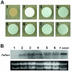 FIG. 4.