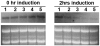 FIG. 3.