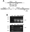 FIG. 5.
