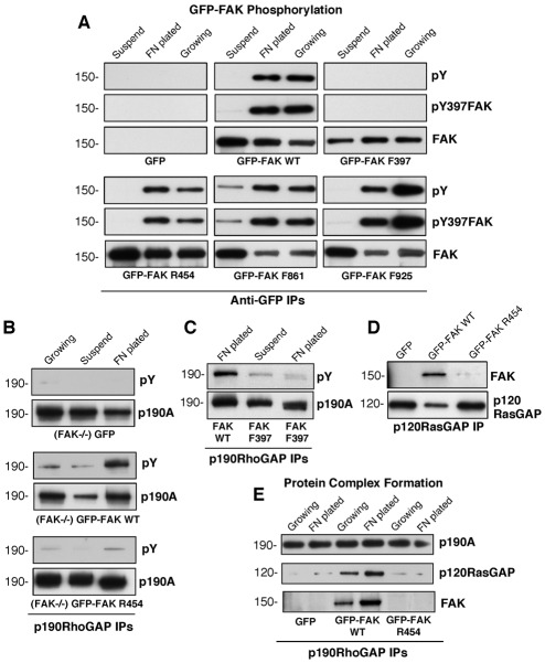 Fig. 9.