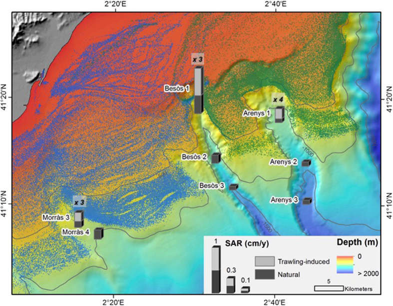 Figure 6